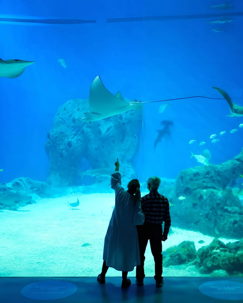 Den Blå Planet Den Blå Planet