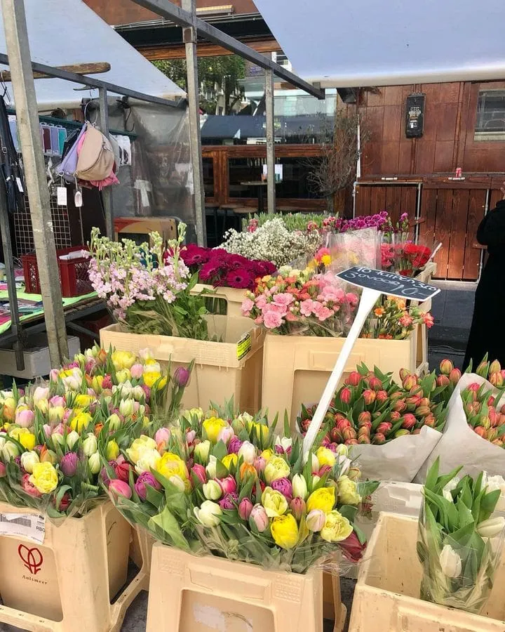 albert_cuyp_market_amsterdam-3