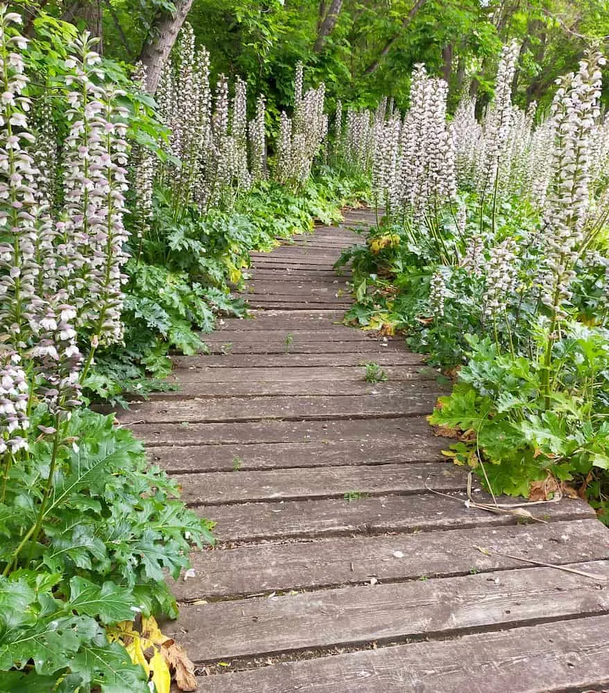 Marxalenes Park Marxalenes Park