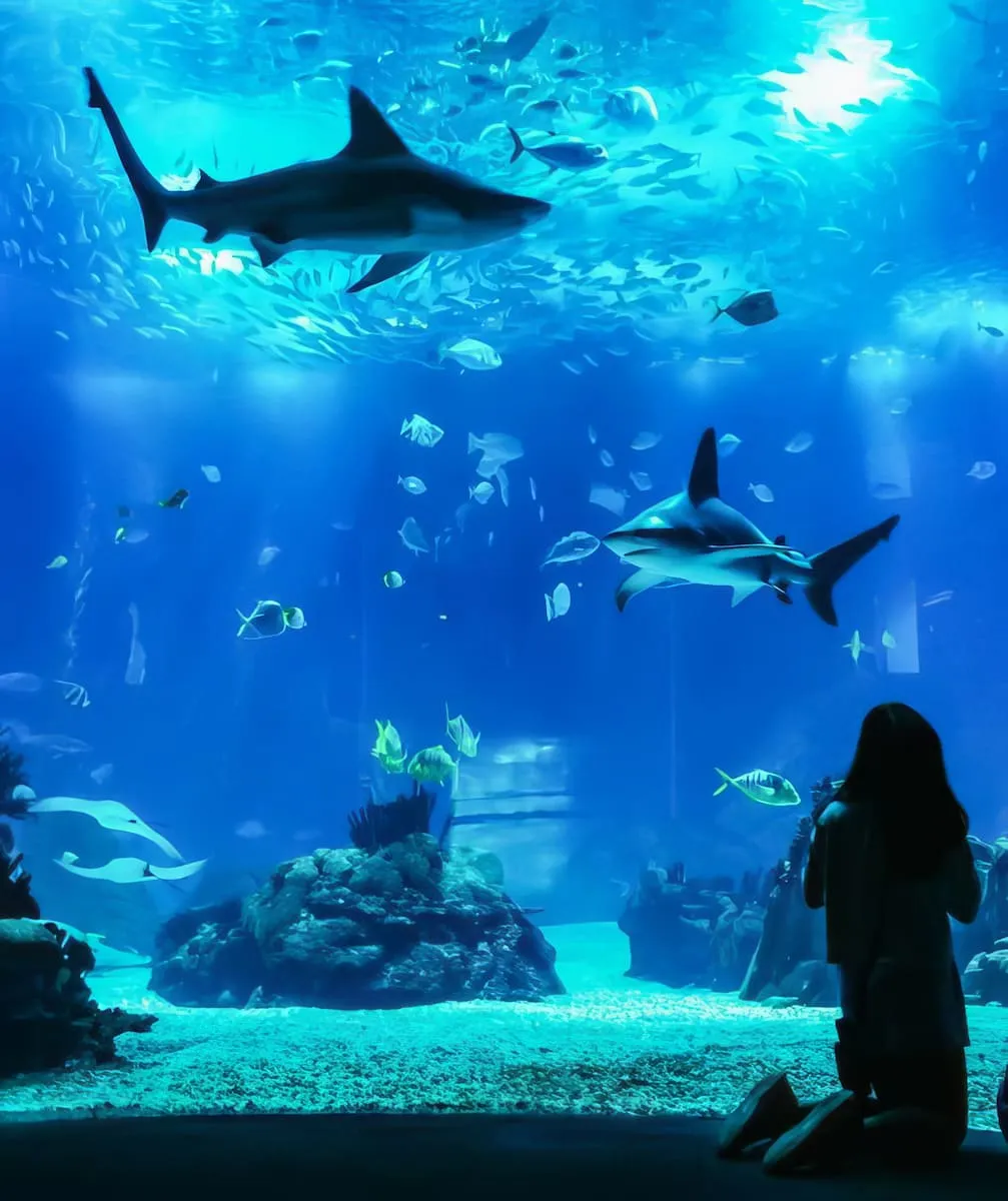 Oceanário de Lisboa Oceanário de Lisboa