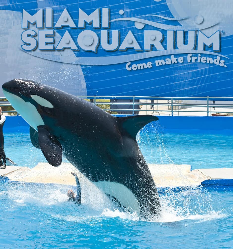 Miami Seaquarium Miami Seaquarium