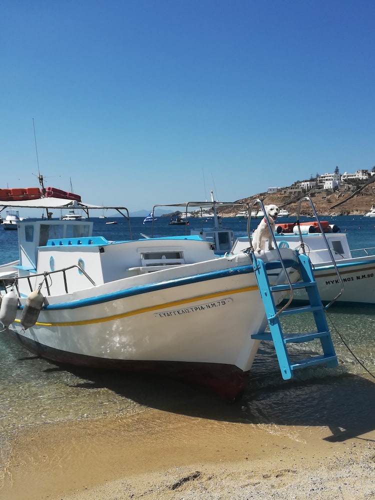 Ornos Beach Ornos Beach