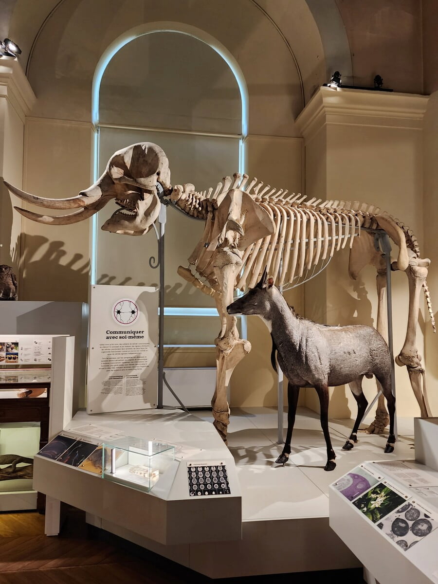 Natural History Museum of Marseille Natural History Museum of Marseille