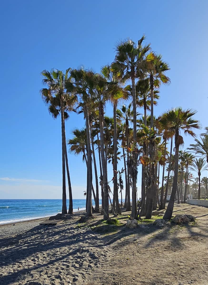 Playa de San Pedro Playa de San Pedro