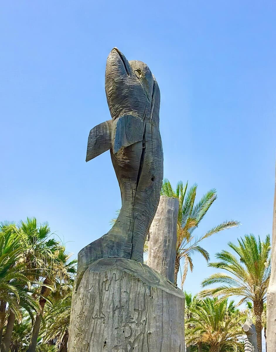 Playa de San Pedro Playa de San Pedro