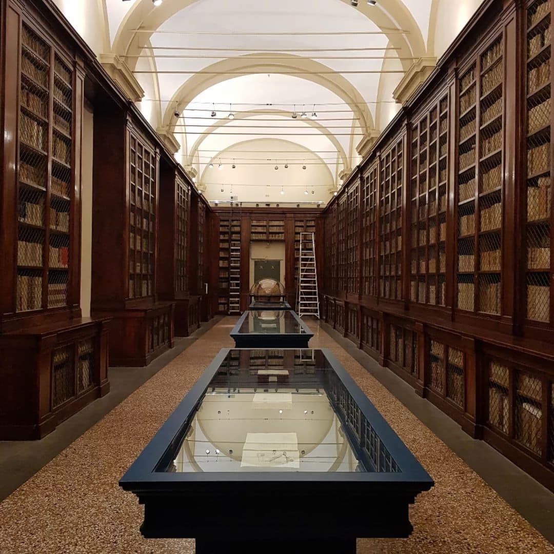 University District Bologna