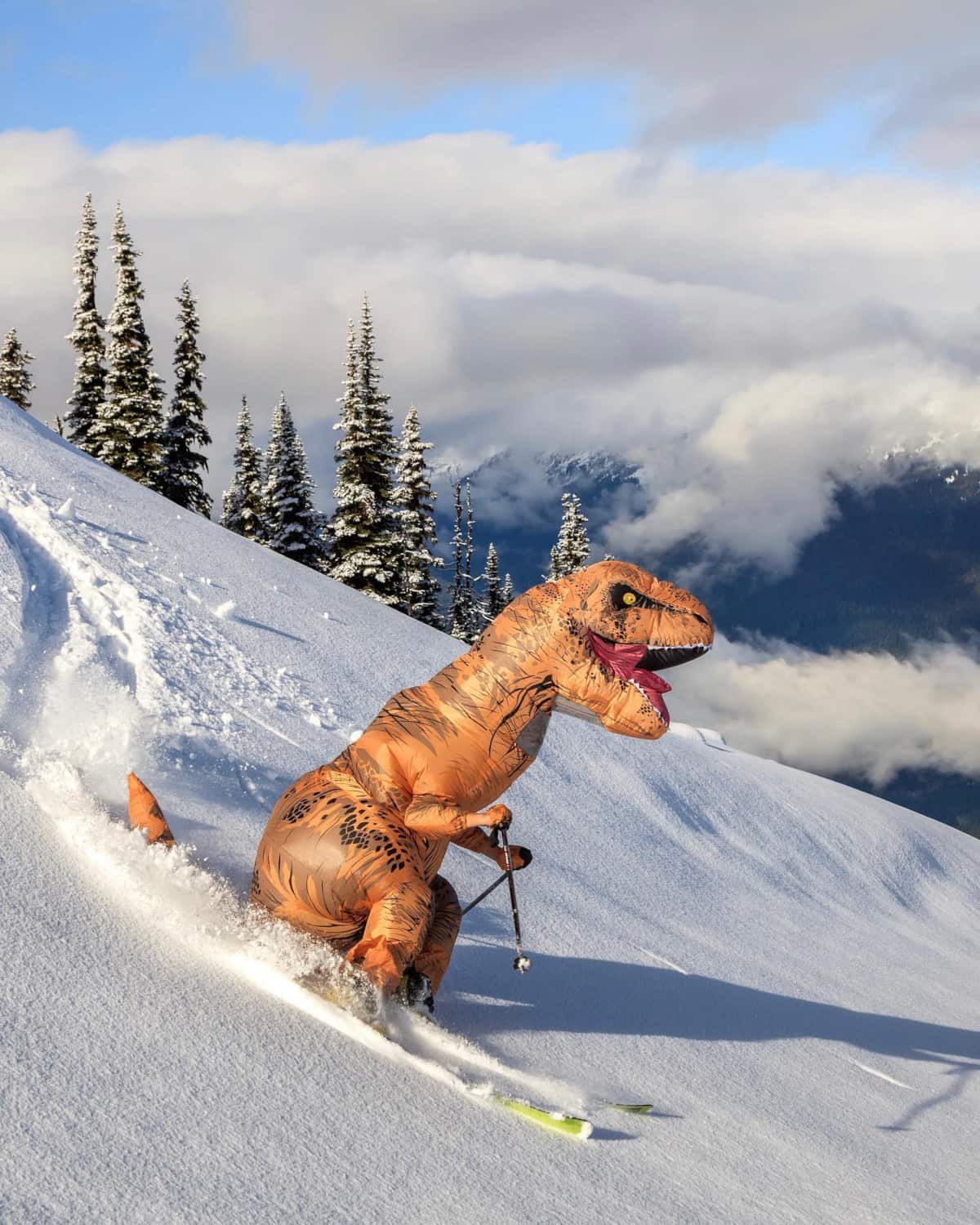 Blackcomb Benchlands Whistler Canada