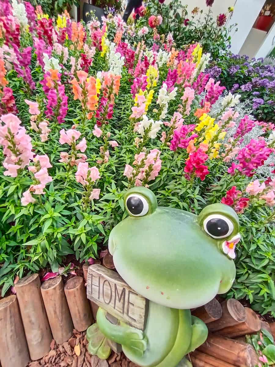 Daan Forest Park, Taipei Daan Forest Park, Taipei