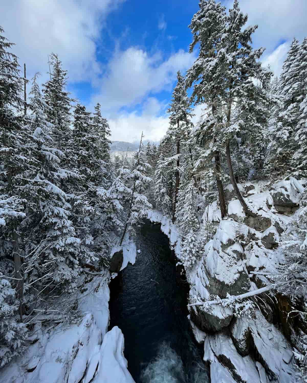 Function Junction Whistler Canada