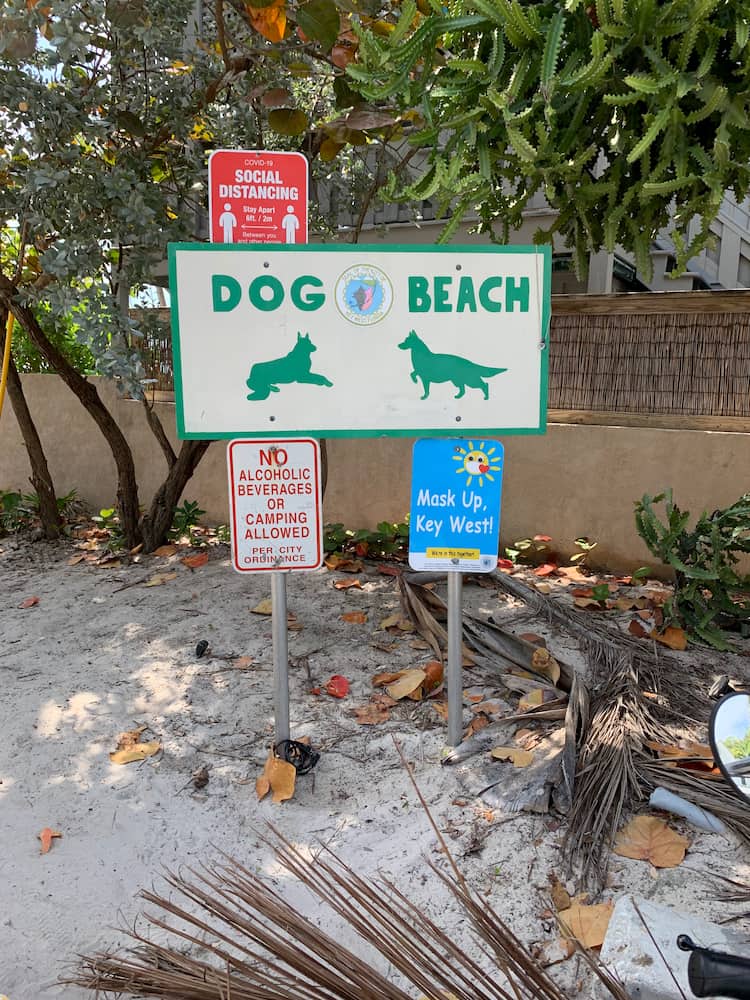 Higgs Beach Dog Park Higgs Beach Dog Park