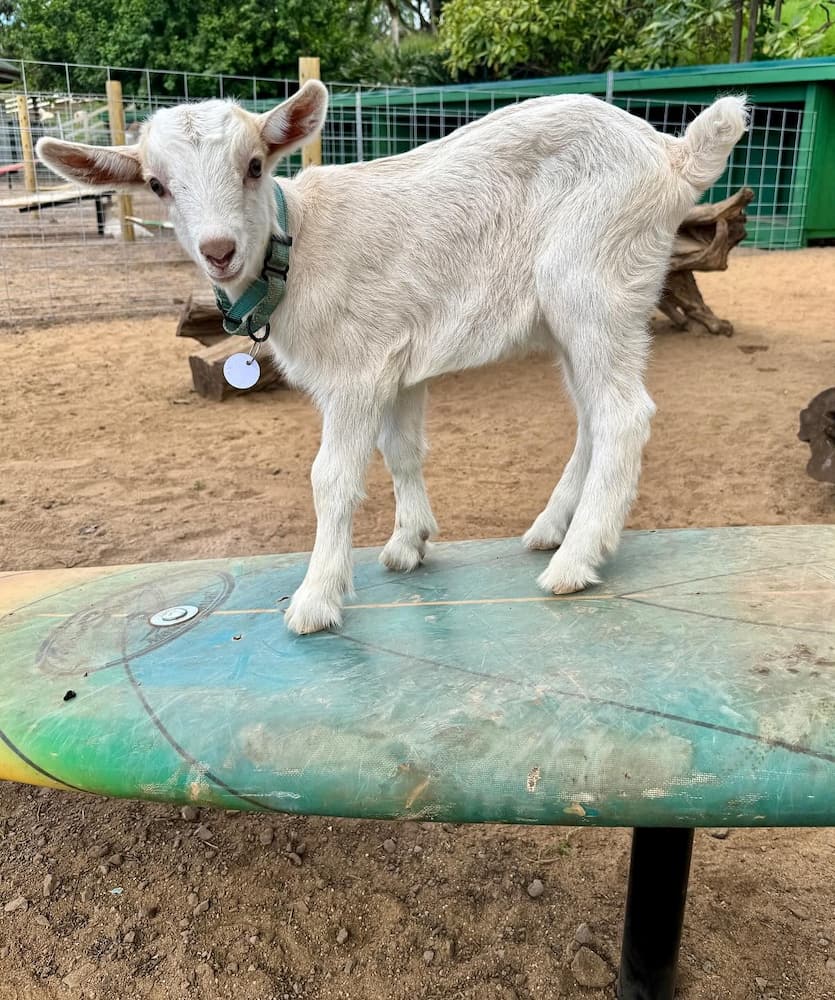 Kula, Maui Kula, Maui