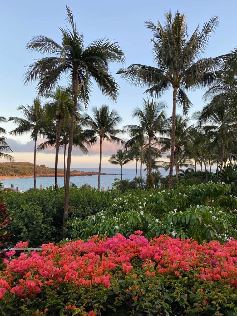 Lanai, Hawaii Lanai, Hawaii