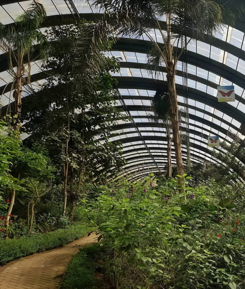 Monteverde Butterfly Gardens Monteverde Butterfly Gardens