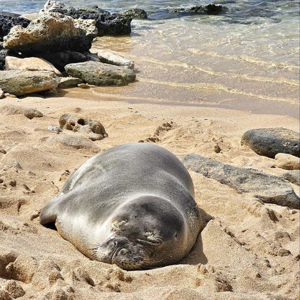 Oahu, Hawaii Oahu, Hawaii