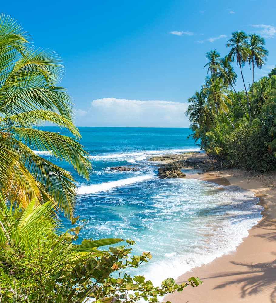 Pacific Coast Pacific Coast