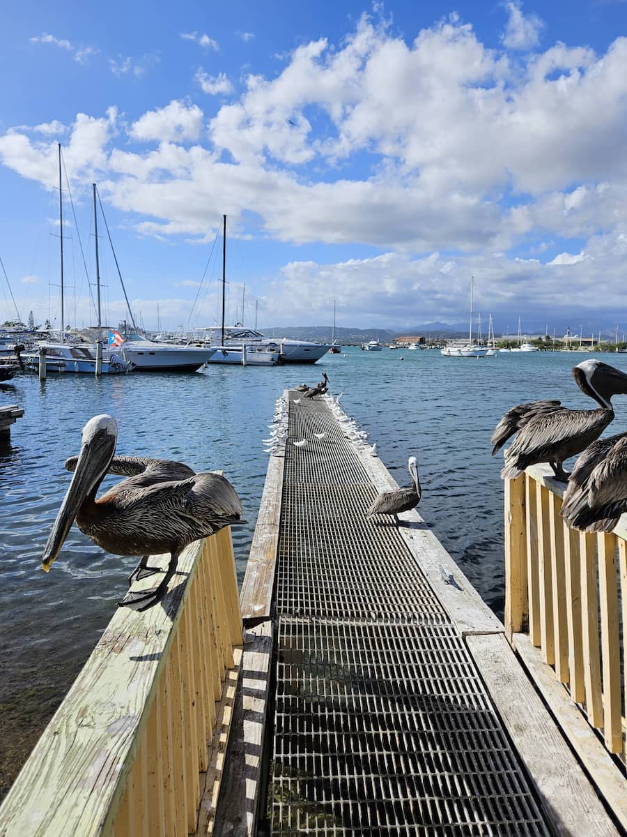 Ponce, Puerto Rico Ponce, Puerto Rico