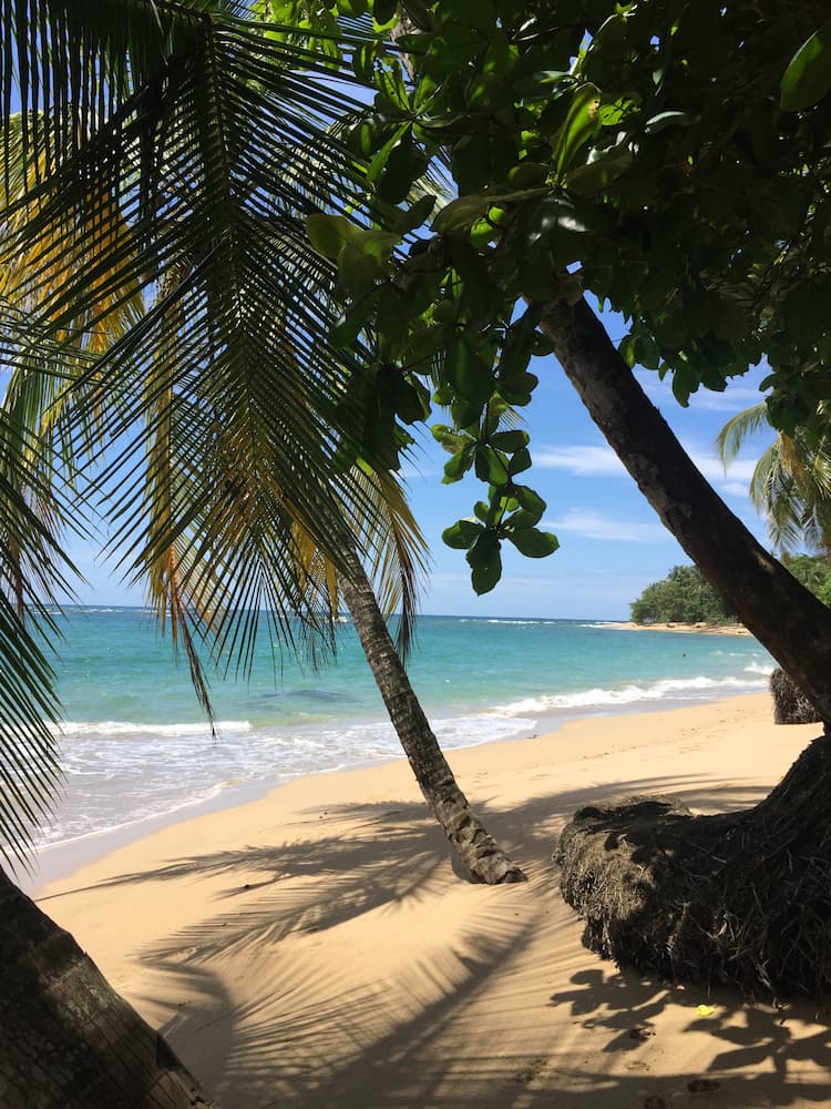 Puerto Viejo Puerto Viejo