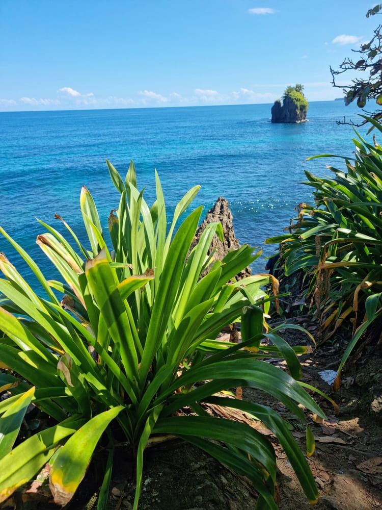 Puerto Viejo Puerto Viejo