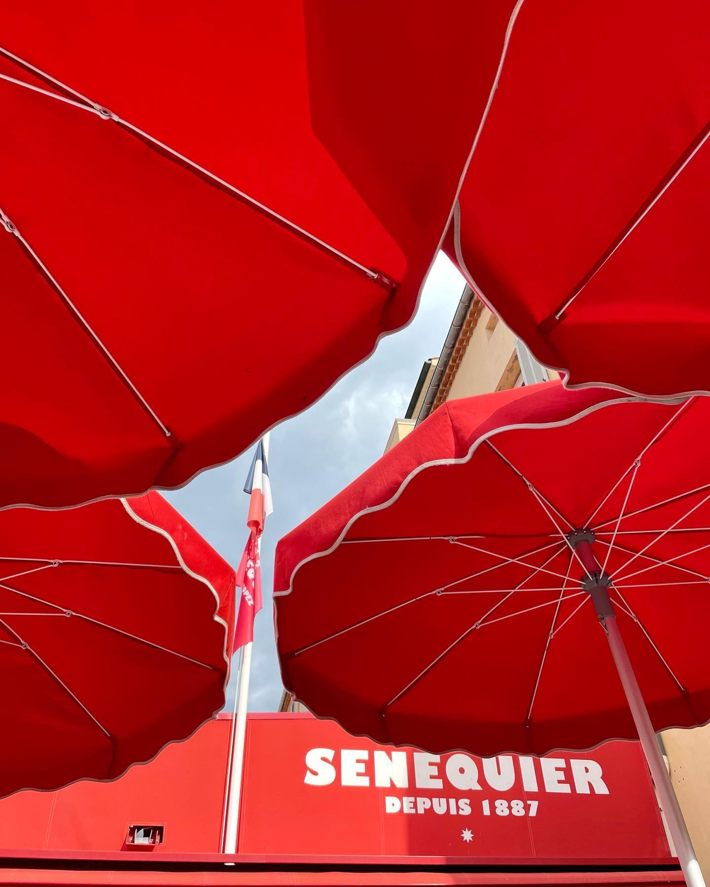 Senequier cafe, Old Town, Saint Tropez, France