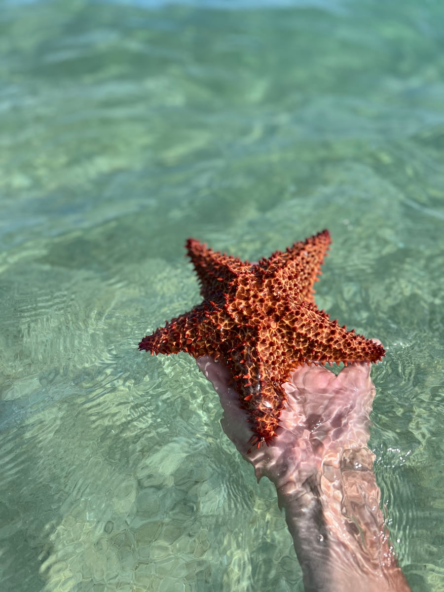 Vieques, Puerto Rico Vieques, Puerto Rico