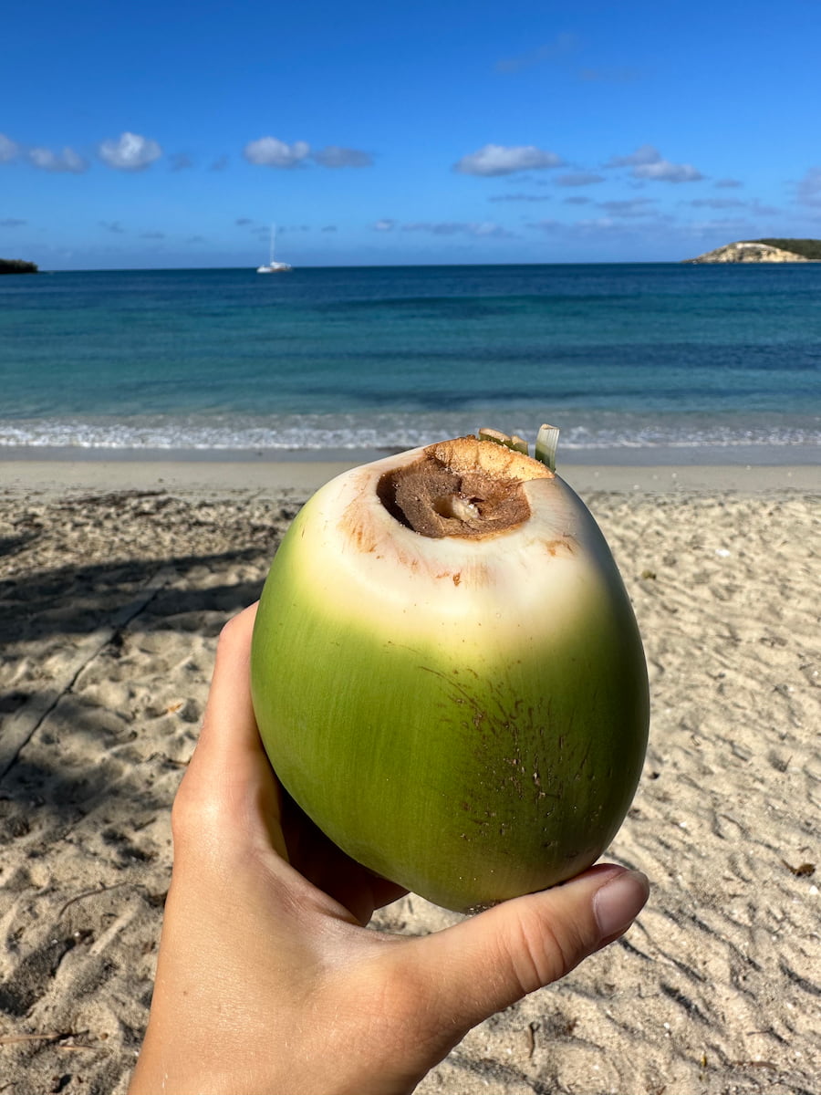 Vieques, Puerto Rico Vieques, Puerto Rico