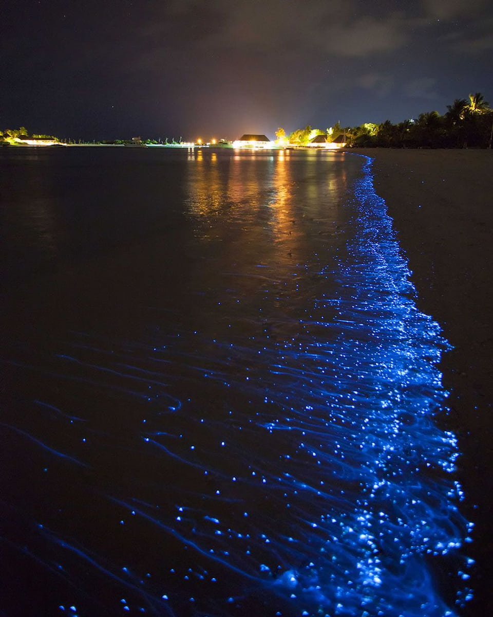 Vieques, Puerto Rico Vieques, Puerto Rico