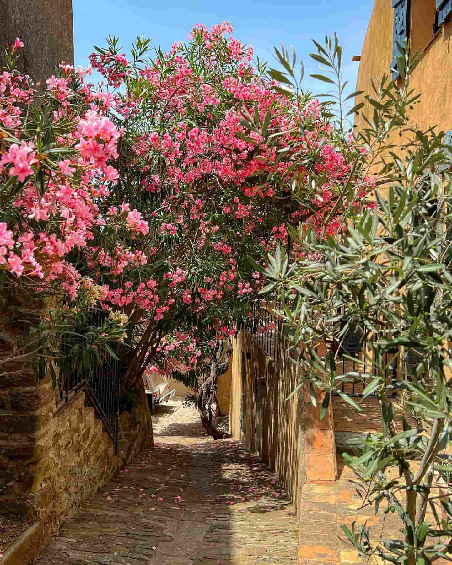 Village de Gassin, Saint Tropez, France