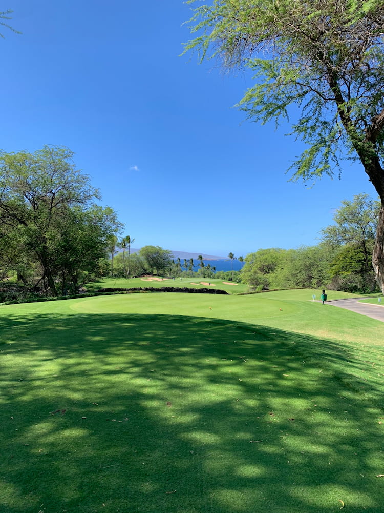 Wailea maui Wailea maui