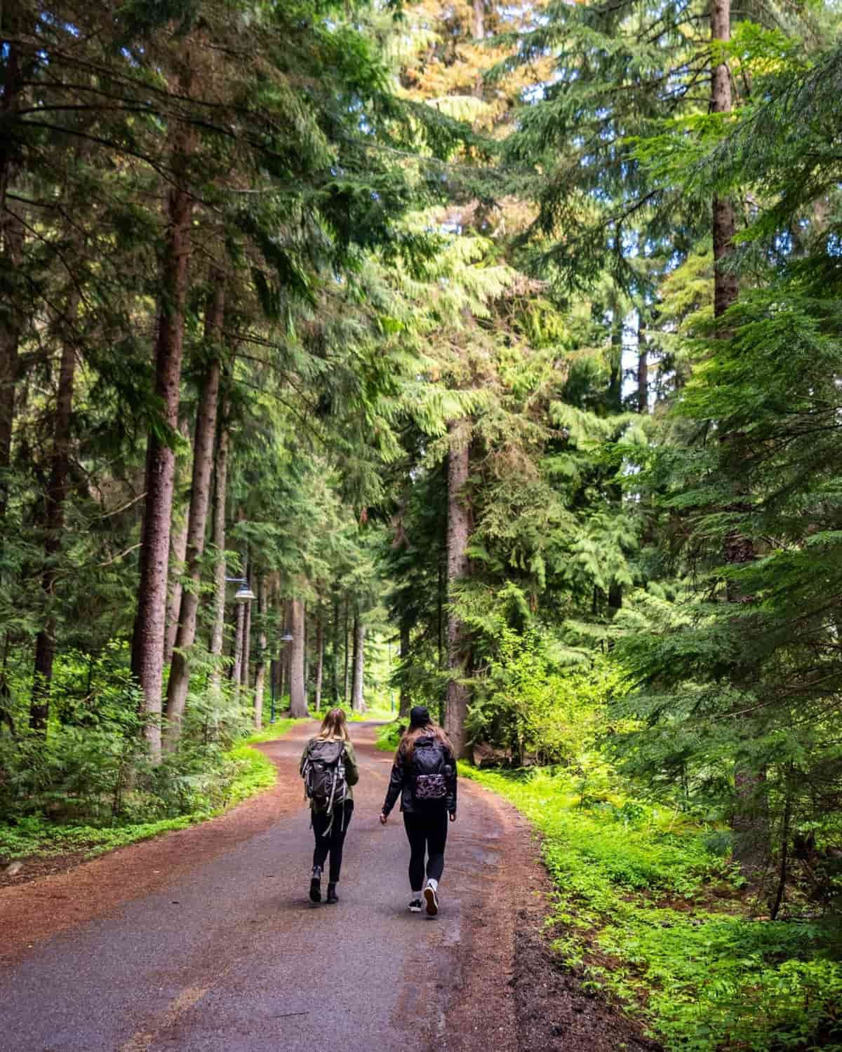 summer Whistler Canada