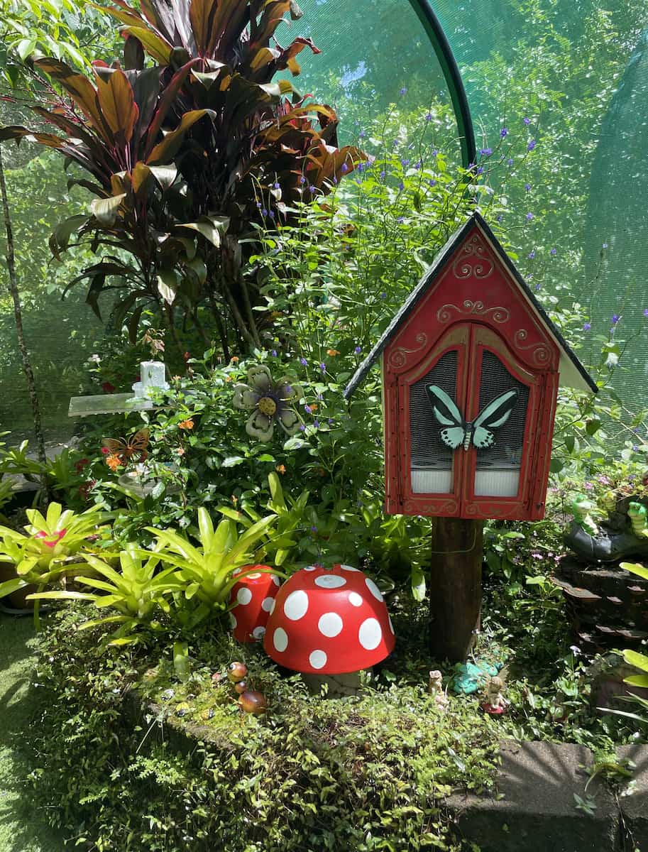 Australian Butterfly Sanctuary