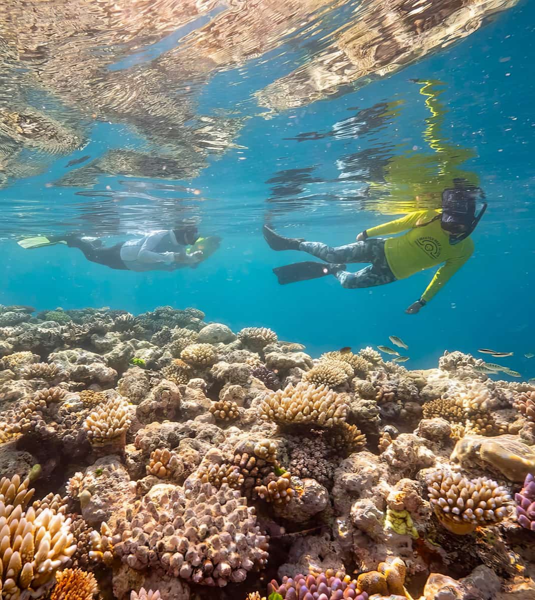Cairns Esplanade Cairns Esplanade