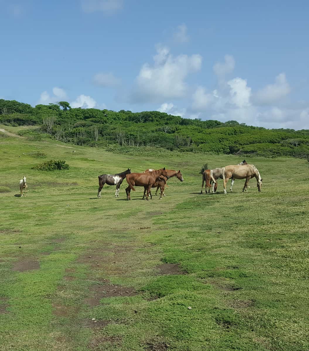 Cap Estate, Saint Lucia Cap Estate, Saint Lucia