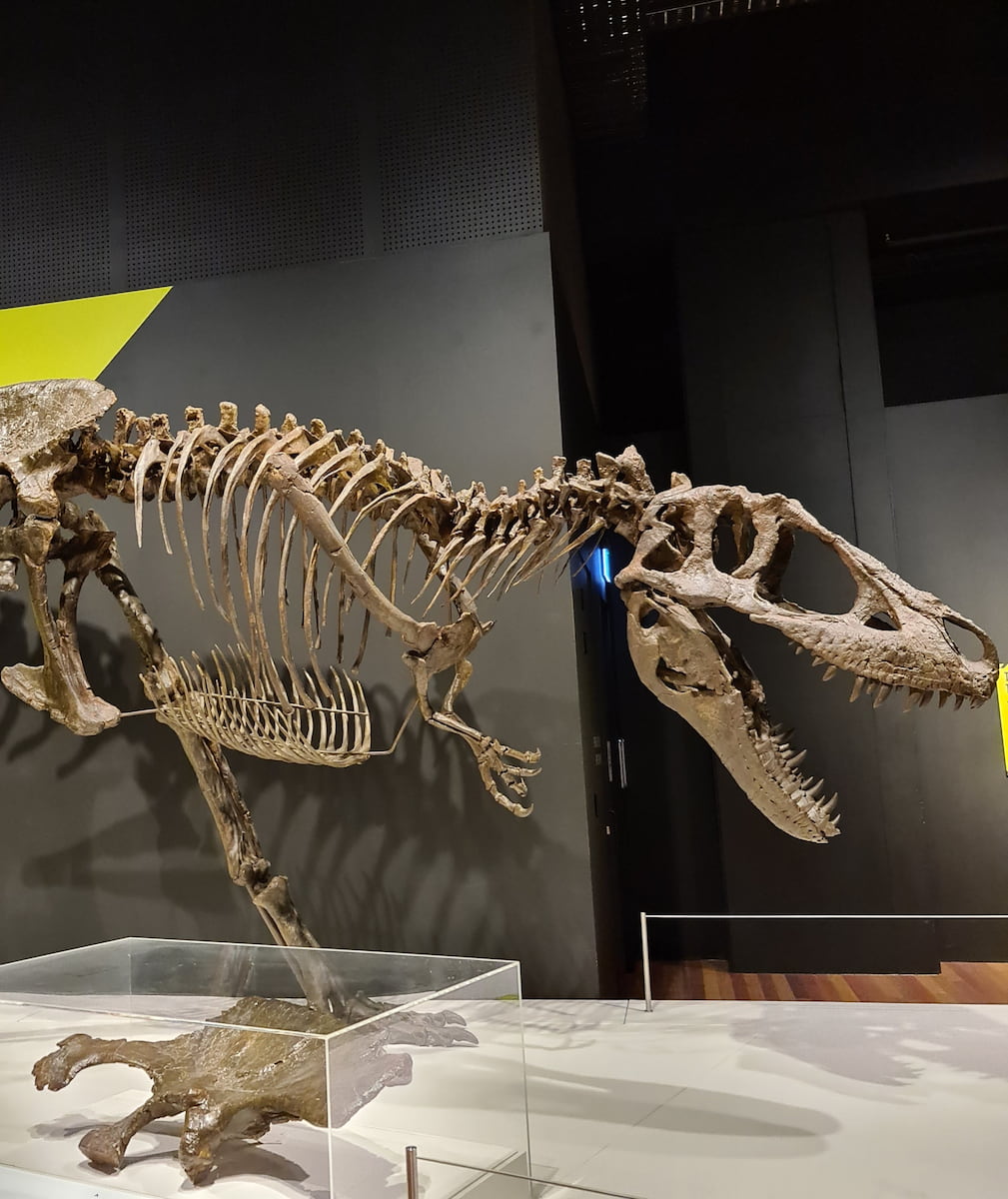 Central Business District Central Business District