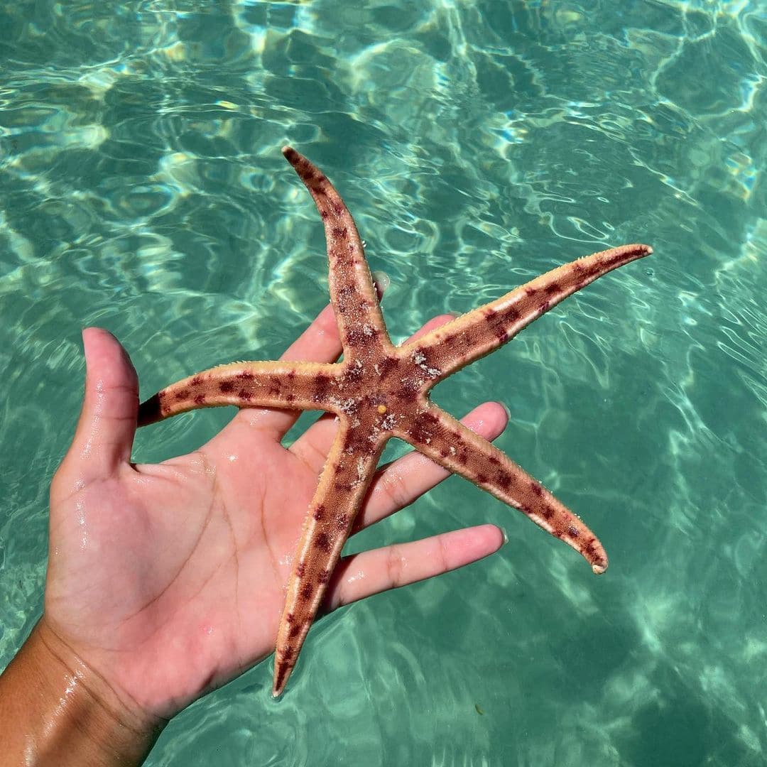 Blue Bay, Mauritius Blue Bay, Mauritius