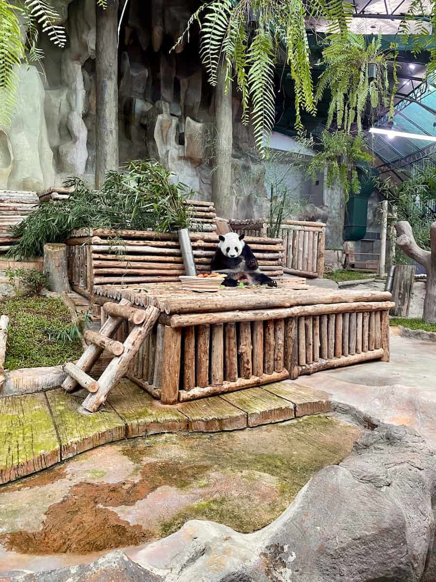 Riverside, Chiang Mai Riverside, Chiang Mai