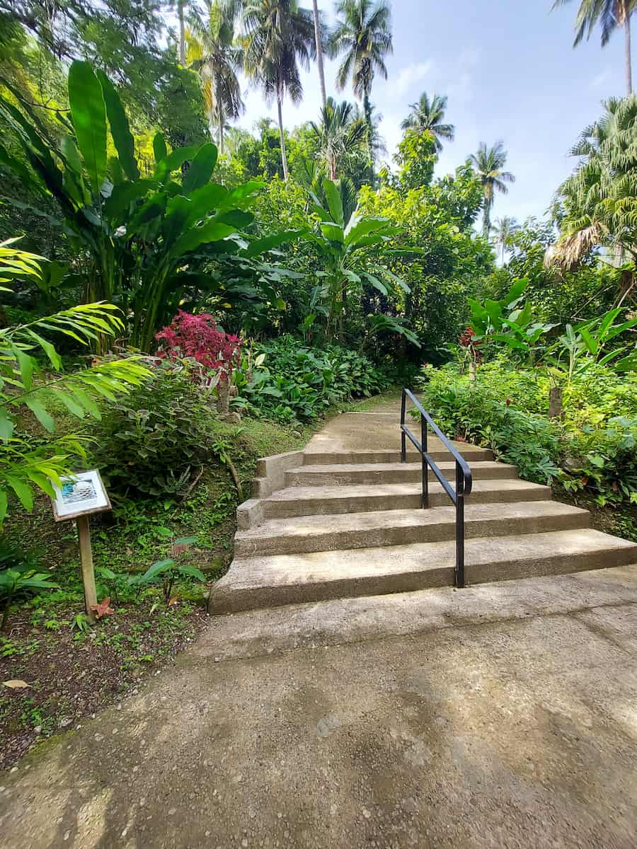 Diamond Falls Botanical Gardens Diamond Falls Botanical Gardens