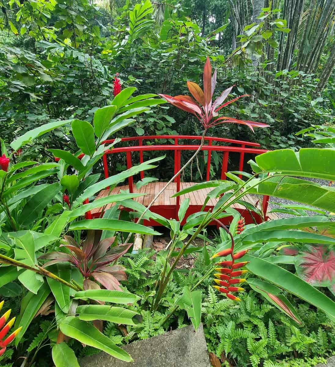 Diamond Falls Botanical Gardens Diamond Falls Botanical Gardens