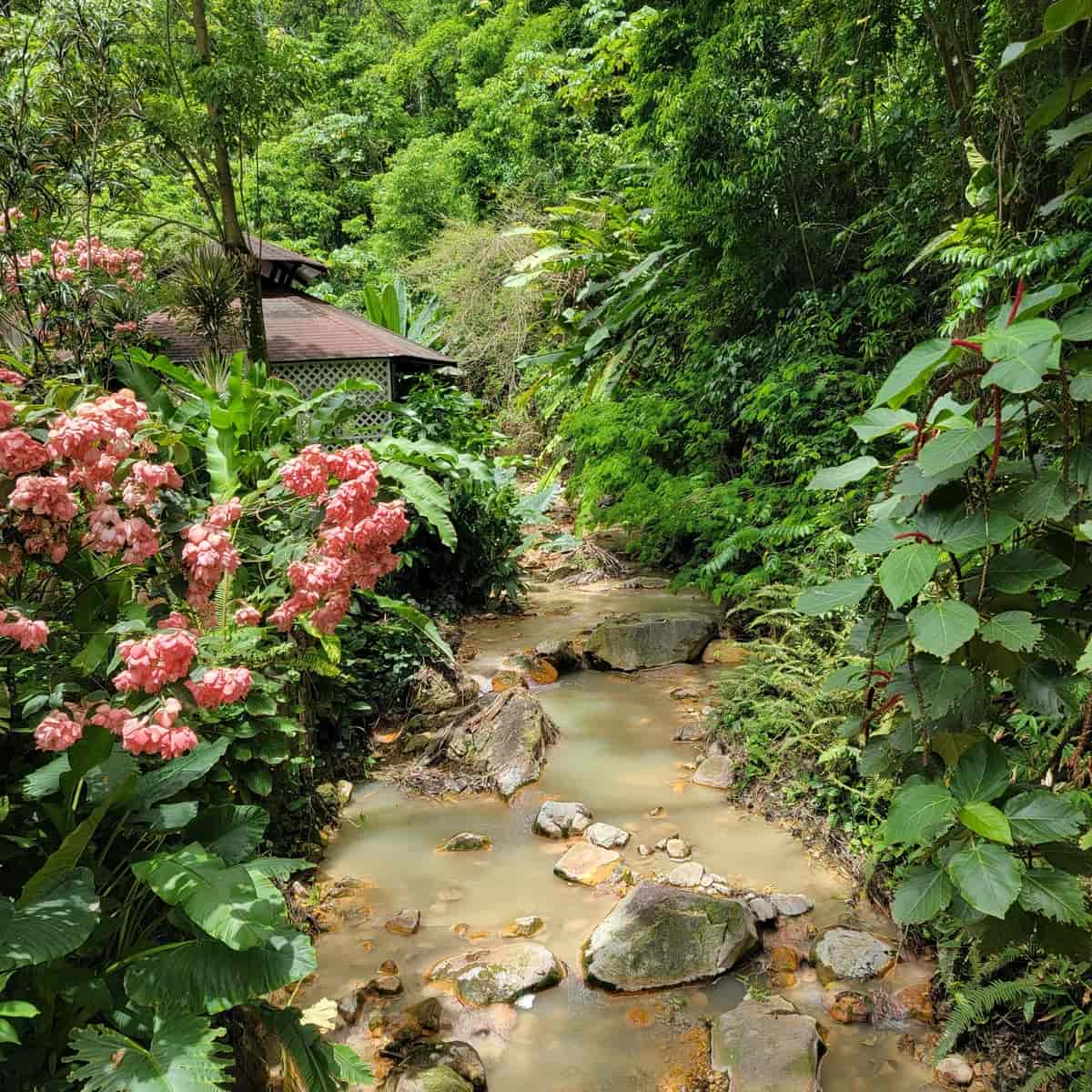 Diamond Falls Botanical Gardens Diamond Falls Botanical Gardens