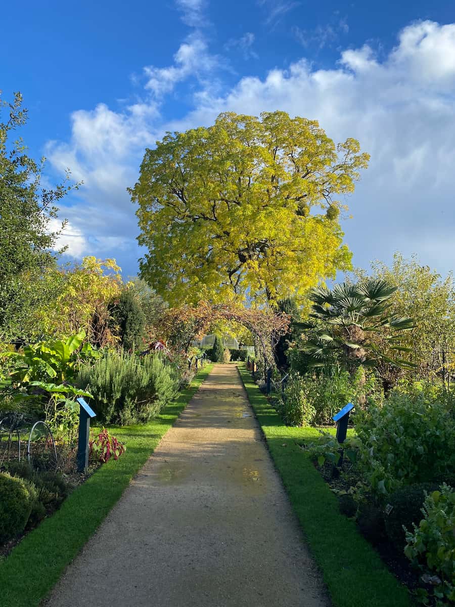 Oxford Botanic Garden