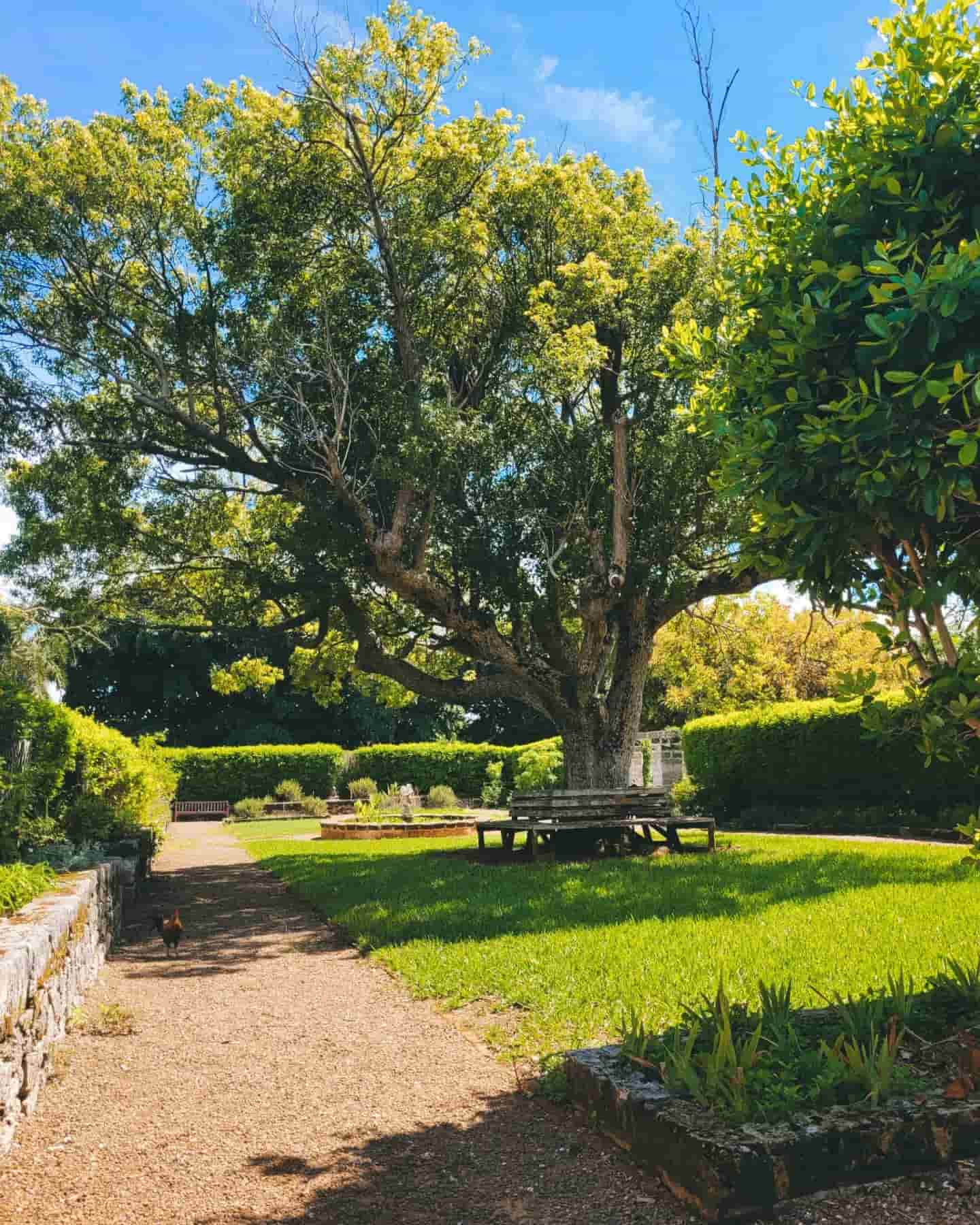 Bermuda Botanical Gardens Bermuda Botanical Gardens