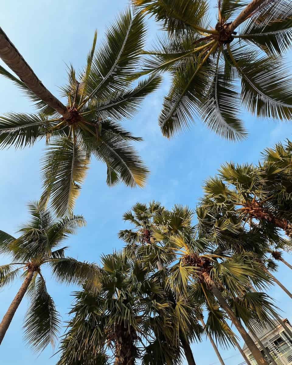 Jomtien Beach, Pattaya Jomtien Beach, Pattaya