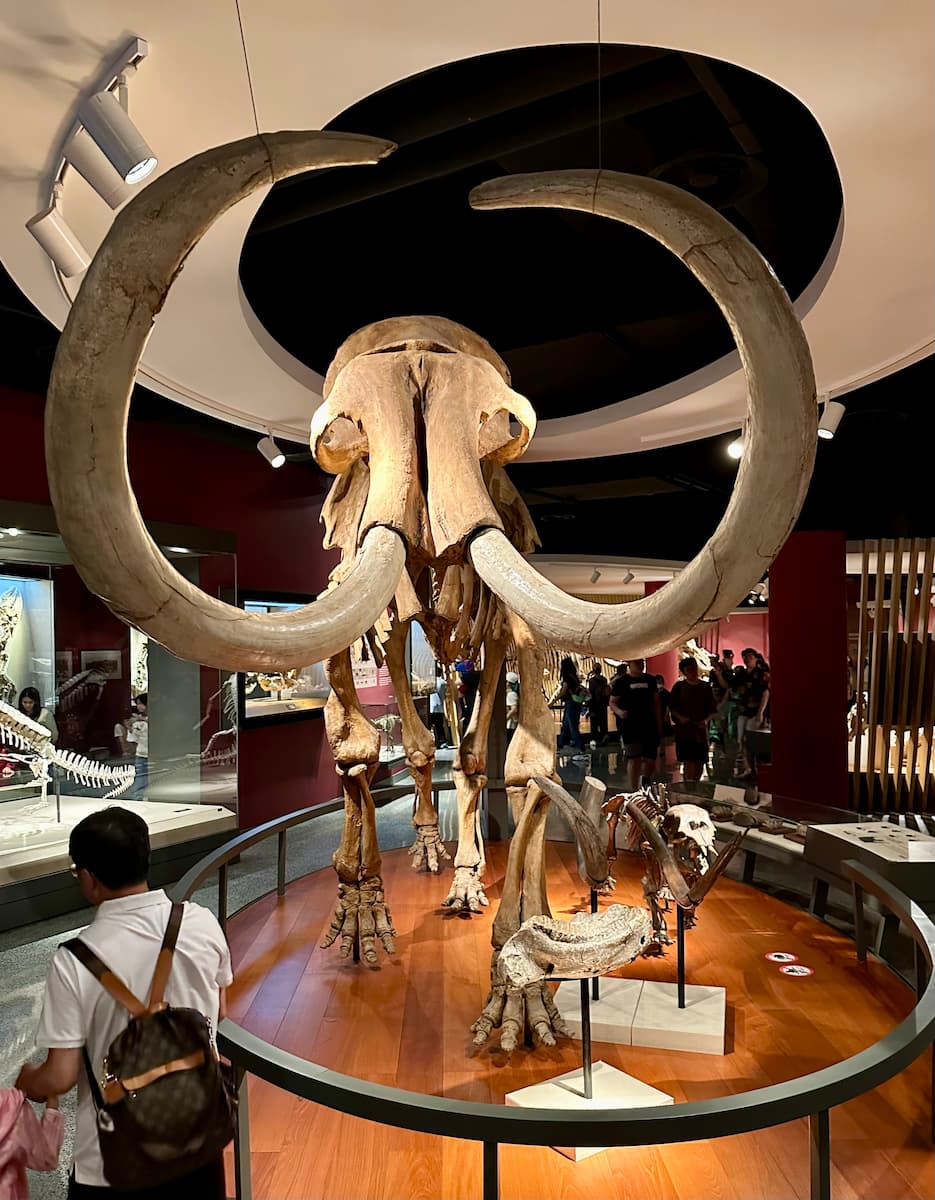 Shanghai Natural History Museum Shanghai Natural History Museum