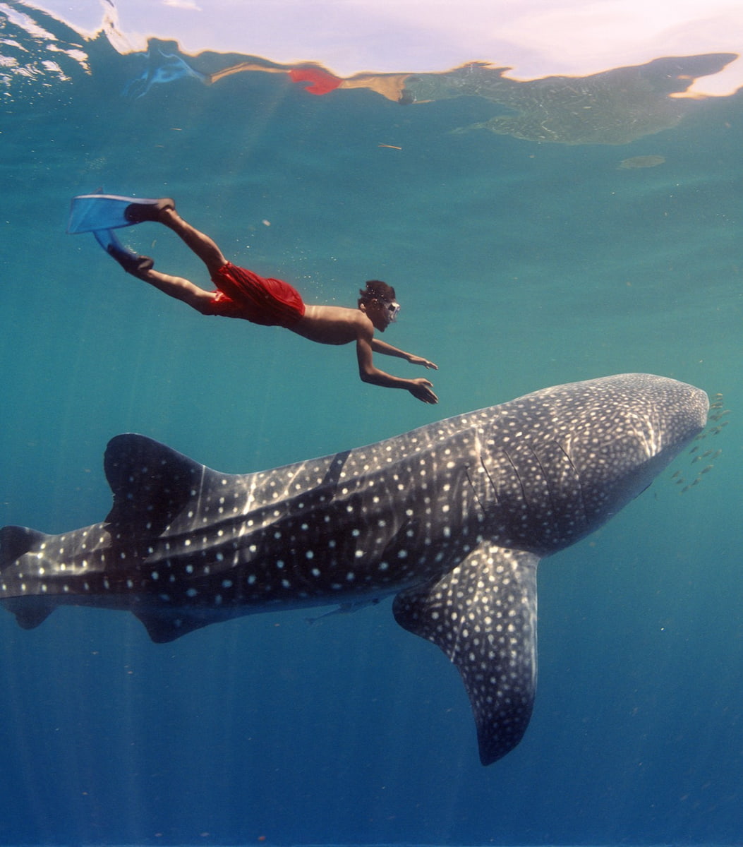 Malapascua Island, Cebu Malapascua Island, Cebu