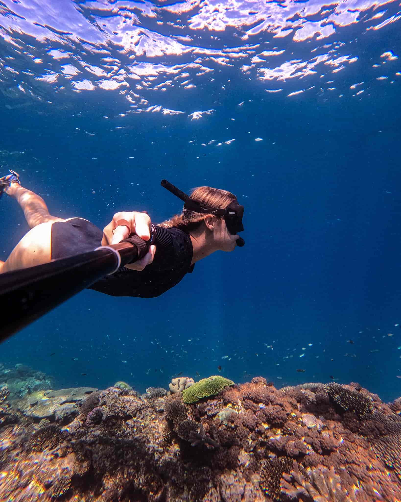 Snorkeling, West Coast Beaches, Antigua Snorkeling, West Coast Beaches, Antigua