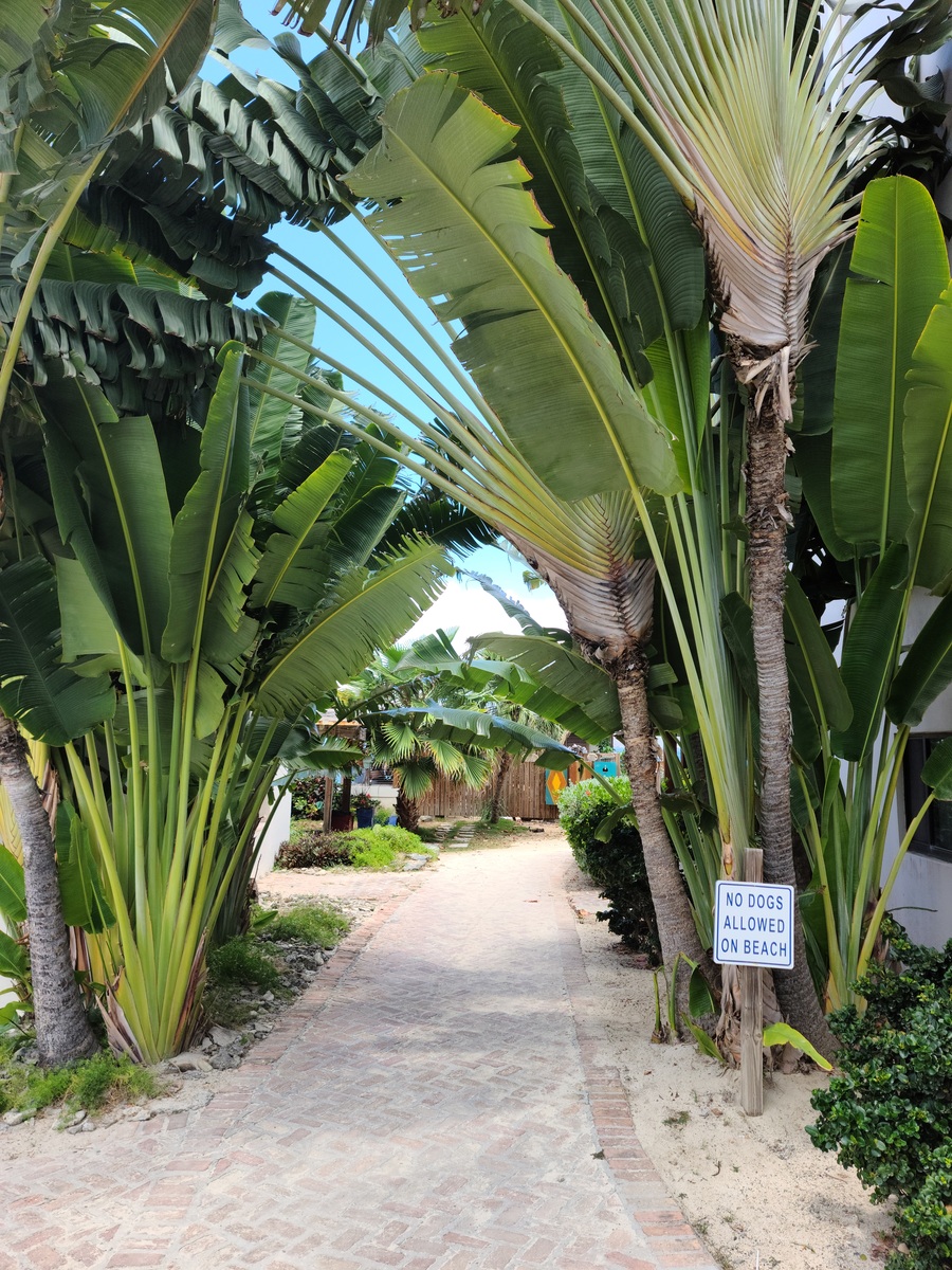 East End, St Thomas East End, St Thomas