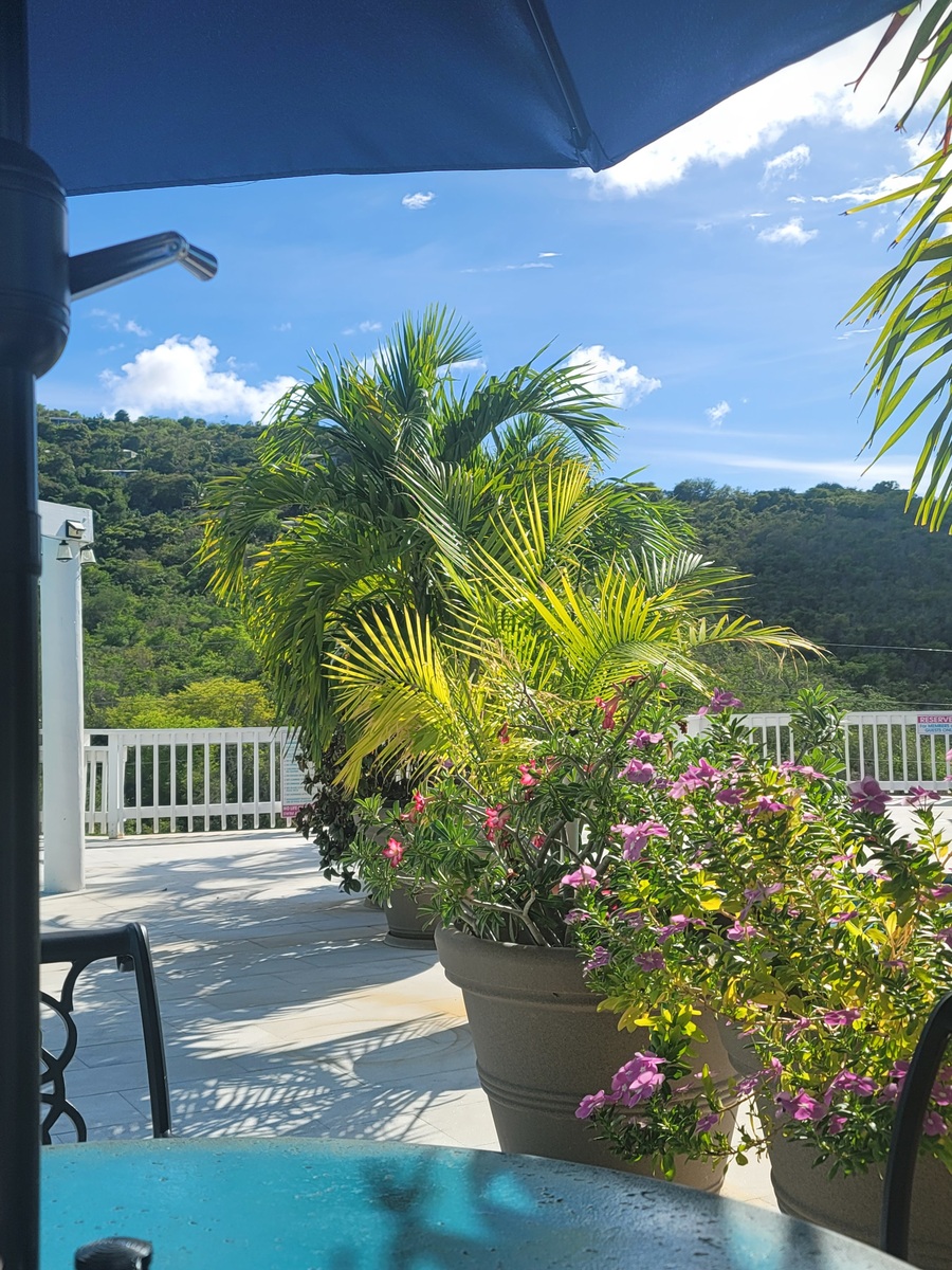 Magens Bay, St Thomas Magens Bay, St Thomas