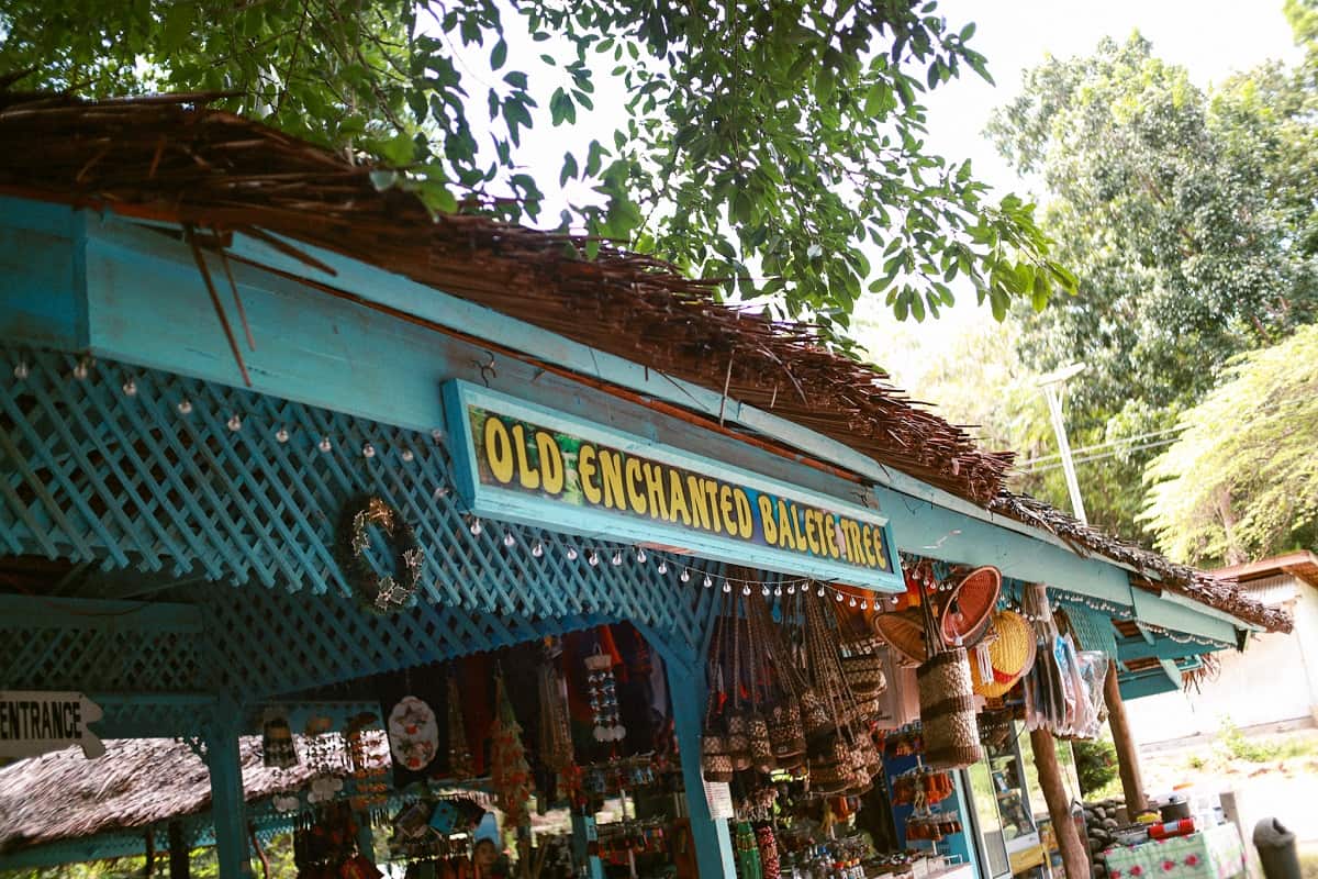 Old Enchanted Balete Tree
