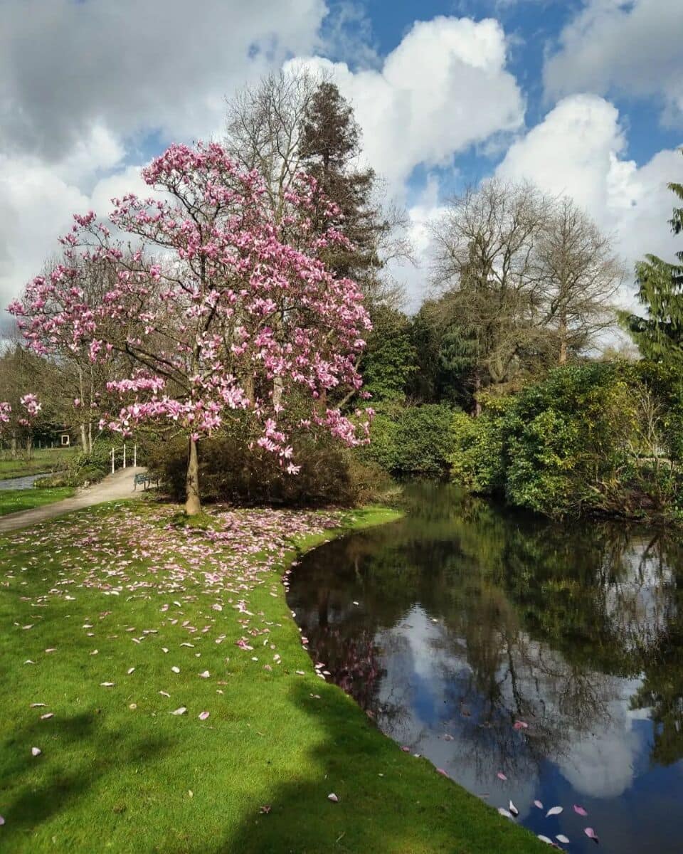 Arboretum Trompenburg Arboretum Trompenburg
