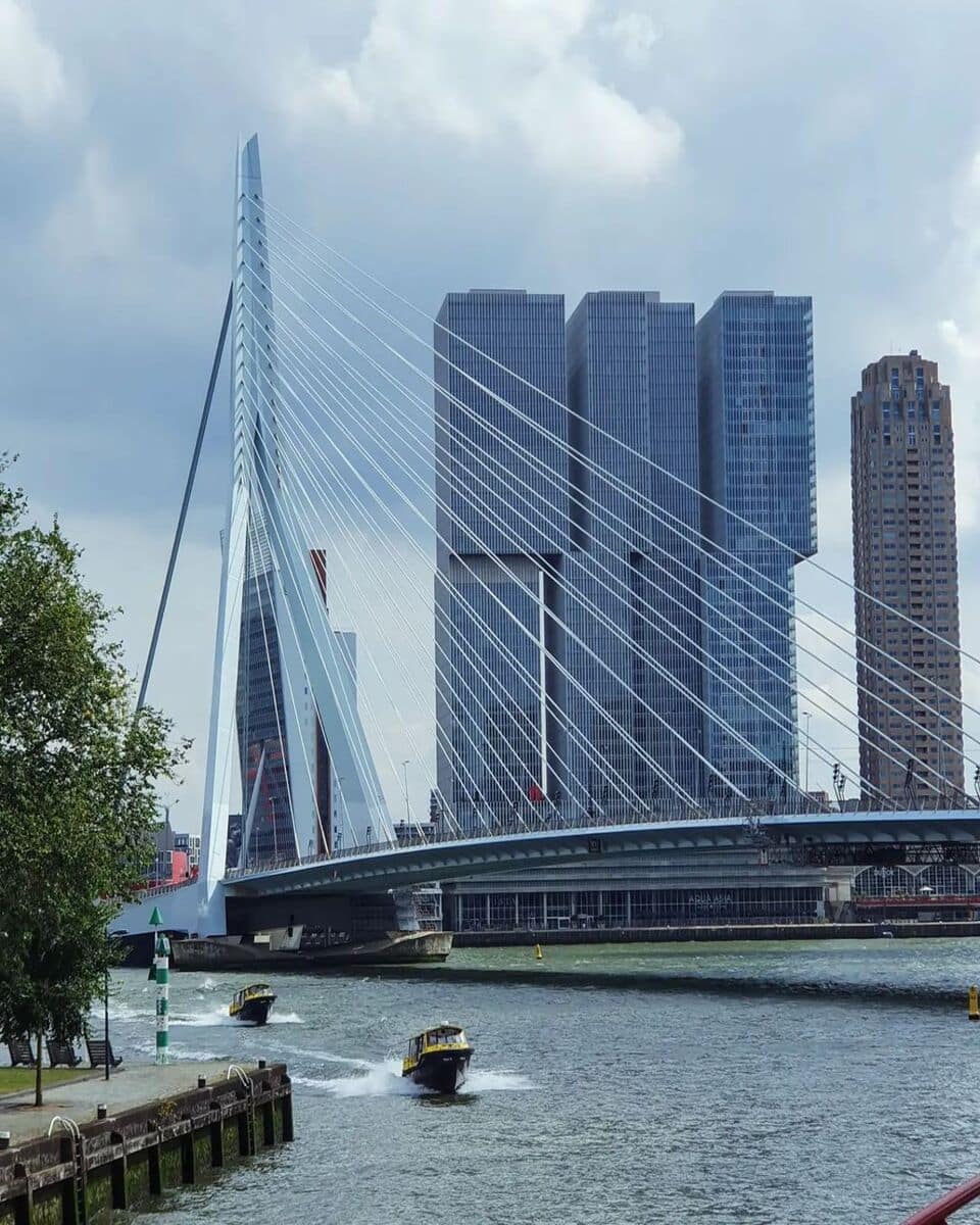 Erasmus Bridge Erasmus Bridge
