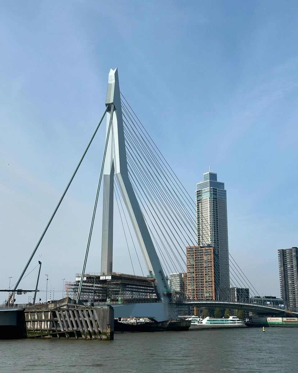 Erasmus Bridge Erasmus Bridge